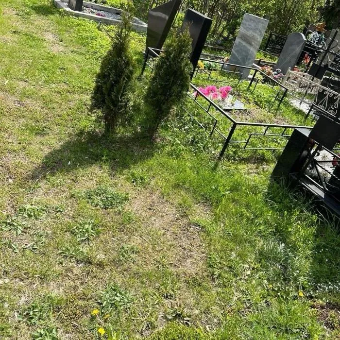 Ключевые слова: Машкинское кладбище, комплекс ритуальных услуг, копка могил, услуги захоронения, ритуальные услуги Москва.