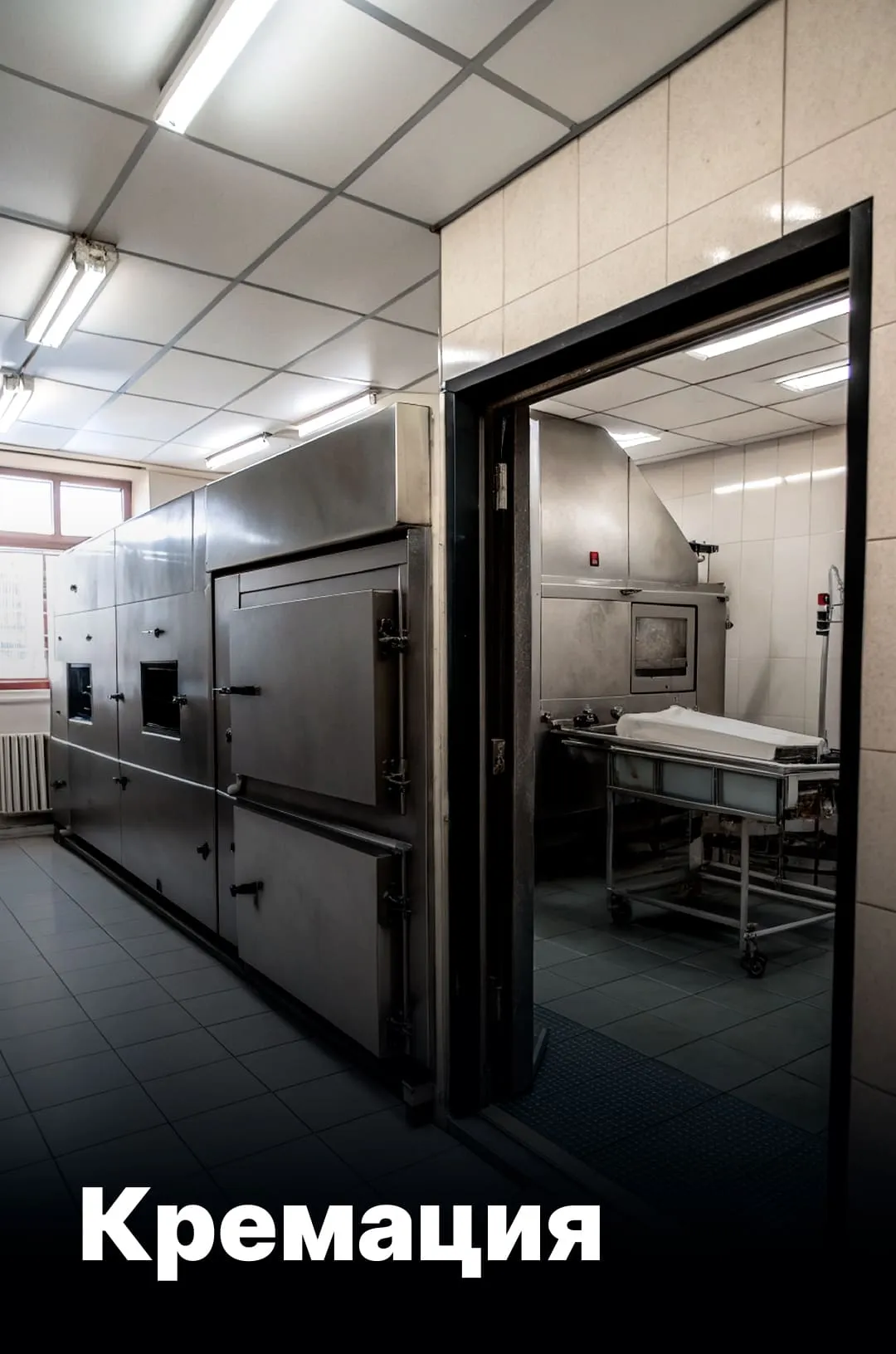 Комплекс услуг