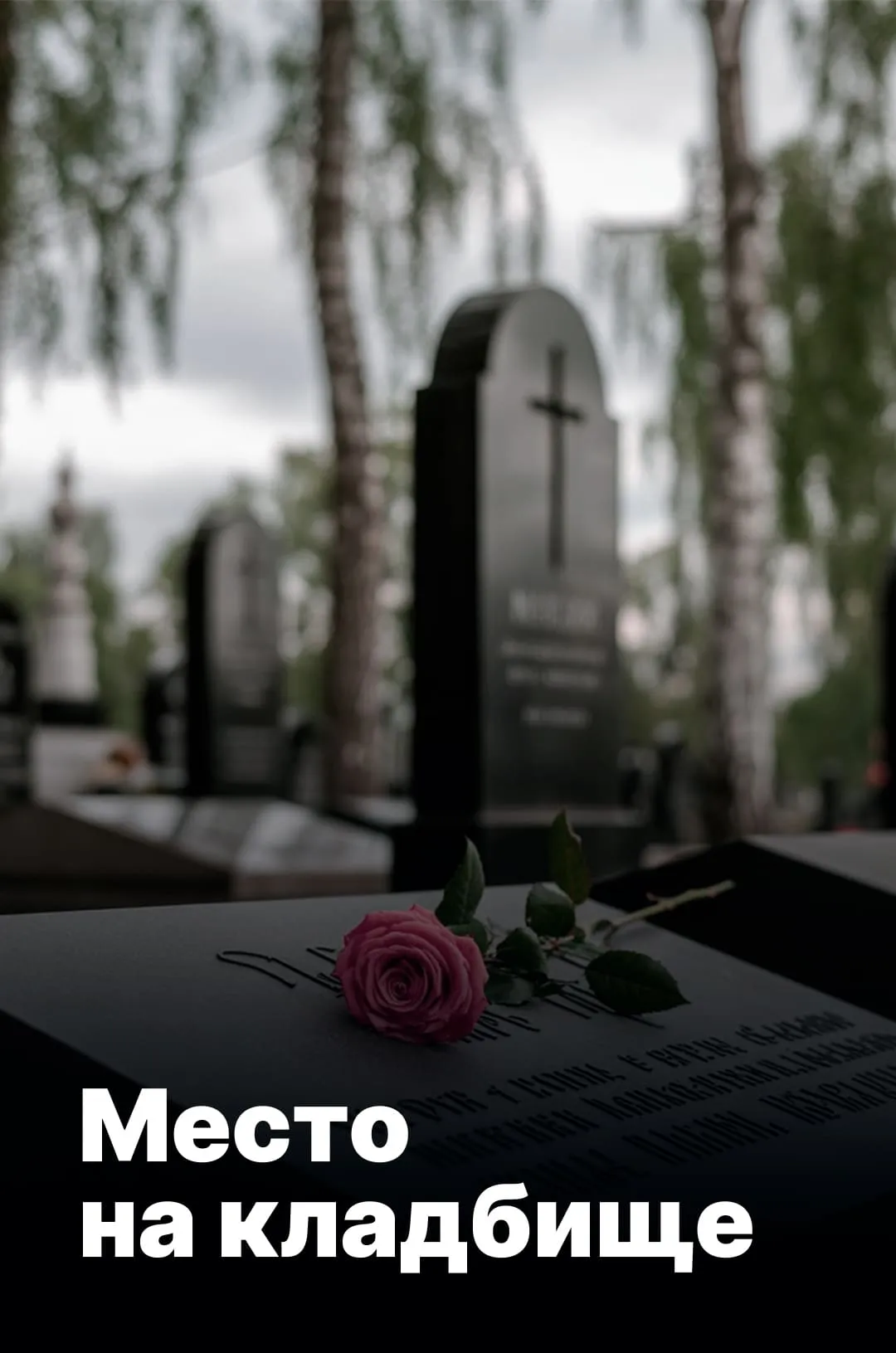 Выбрать участок