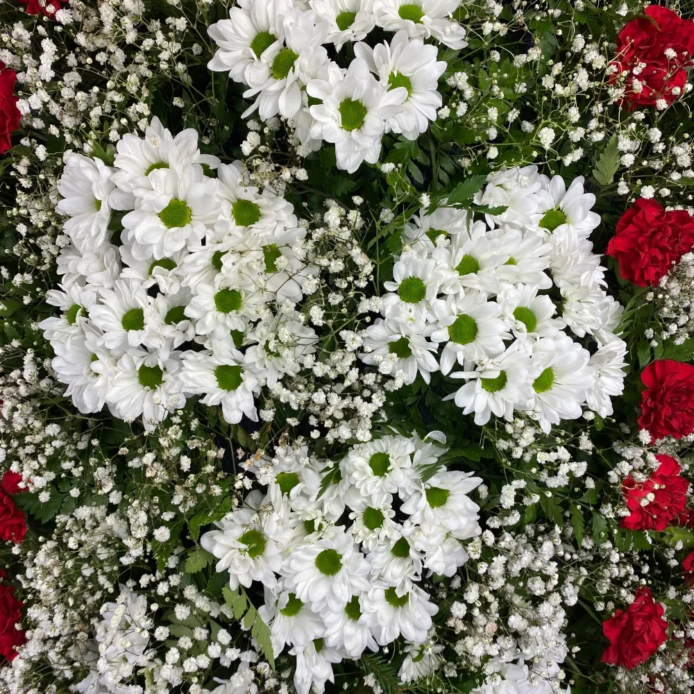 венок на похороны, венок из живых цветов, хризантемы, гвоздики, гипсофила, ритуальные цветы, траурные цветы, похоронные атрибуты, венок артикул ВЖ-016.