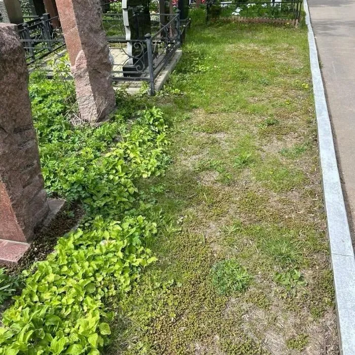 Ключевые слова: Машкинское кладбище, комплекс ритуальных услуг, копка могил, услуги захоронения, ритуальные услуги Москва.