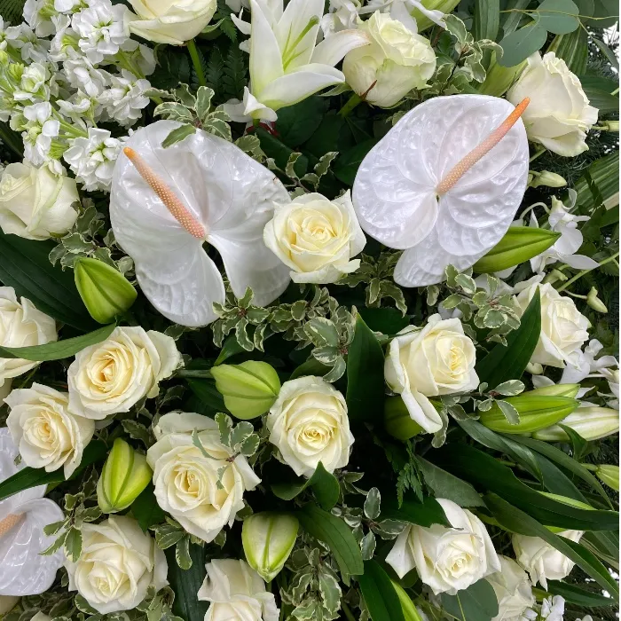 Траурный венок из живых цветов Арт. ВЖ-002 | Антуриум, розы, орхидеи, лилии