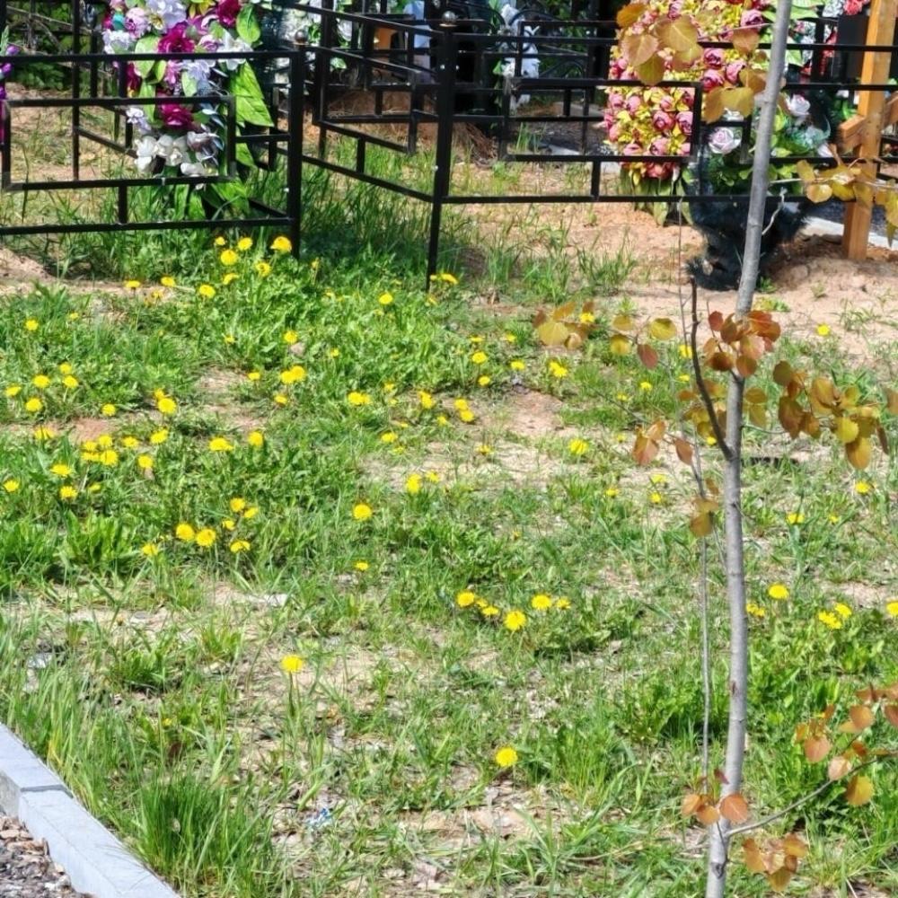 Фенинское кладбище, комплекс услуг, копка могил, ритуальные услуги, захоронение, ритуальная помощь, организация похорон.