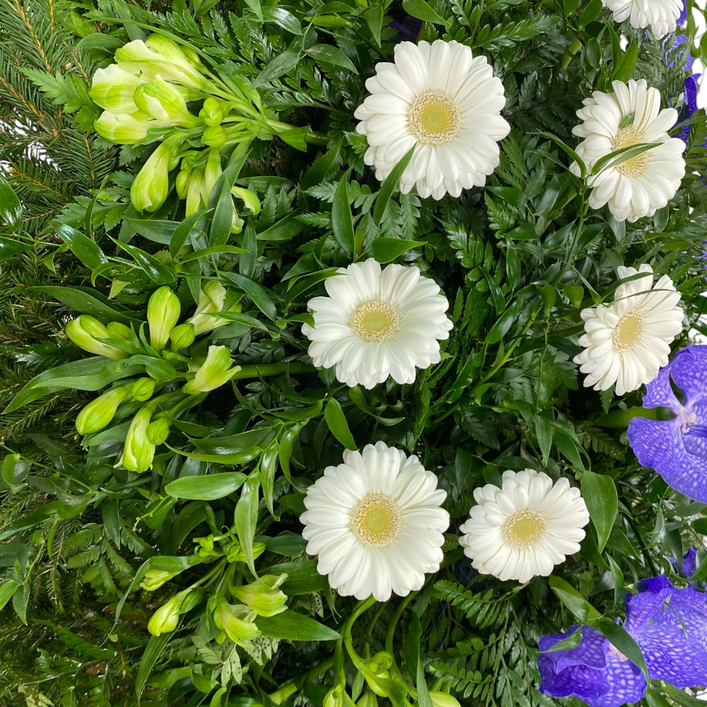 венок на похороны, венок из живых цветов, траурный венок, орхидея, гербера, гипсофила, цветы на похороны, ритуальные цветы, артикул ВЖ-018.