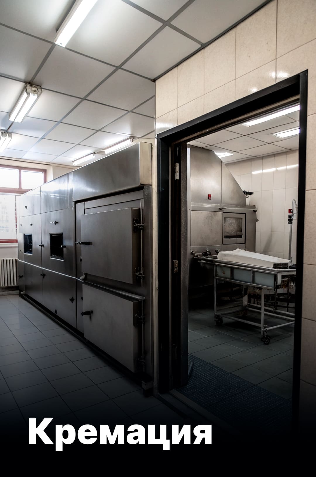 Комплекс услуг