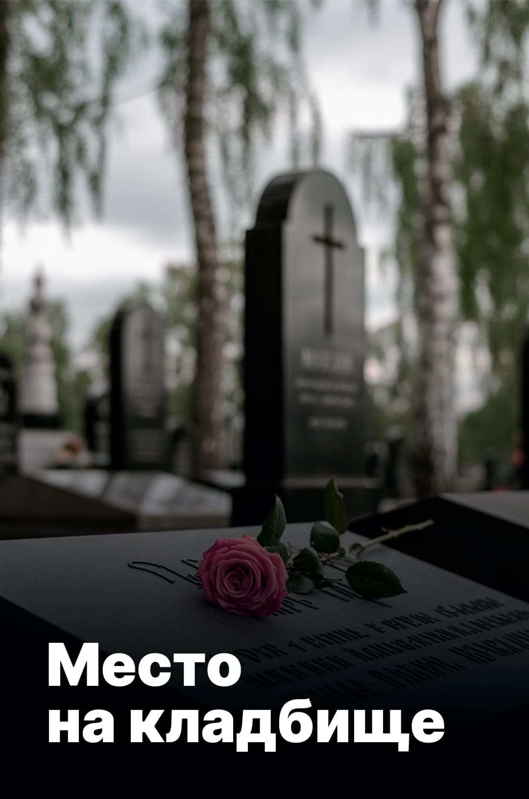 Выбрать участок