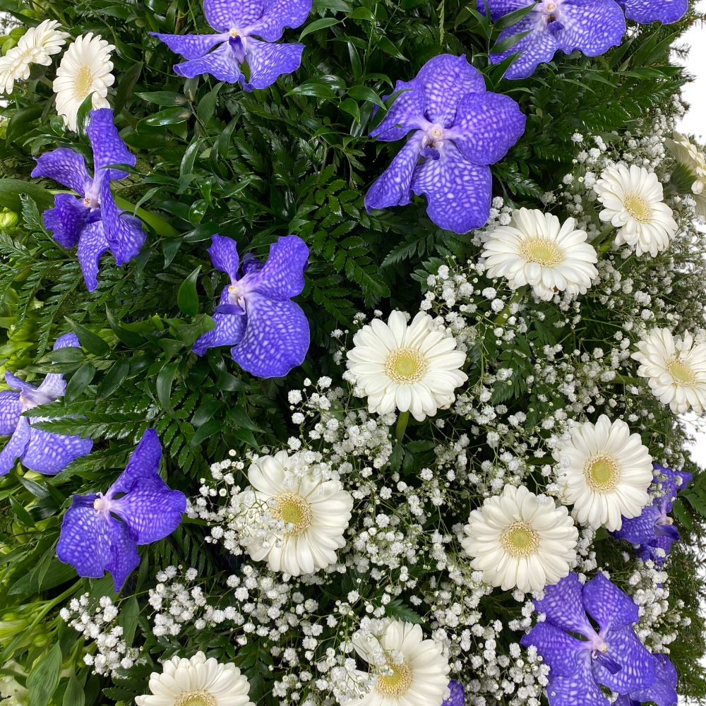 венок на похороны, венок из живых цветов, траурный венок, орхидея, гербера, гипсофила, цветы на похороны, ритуальные цветы, артикул ВЖ-018.