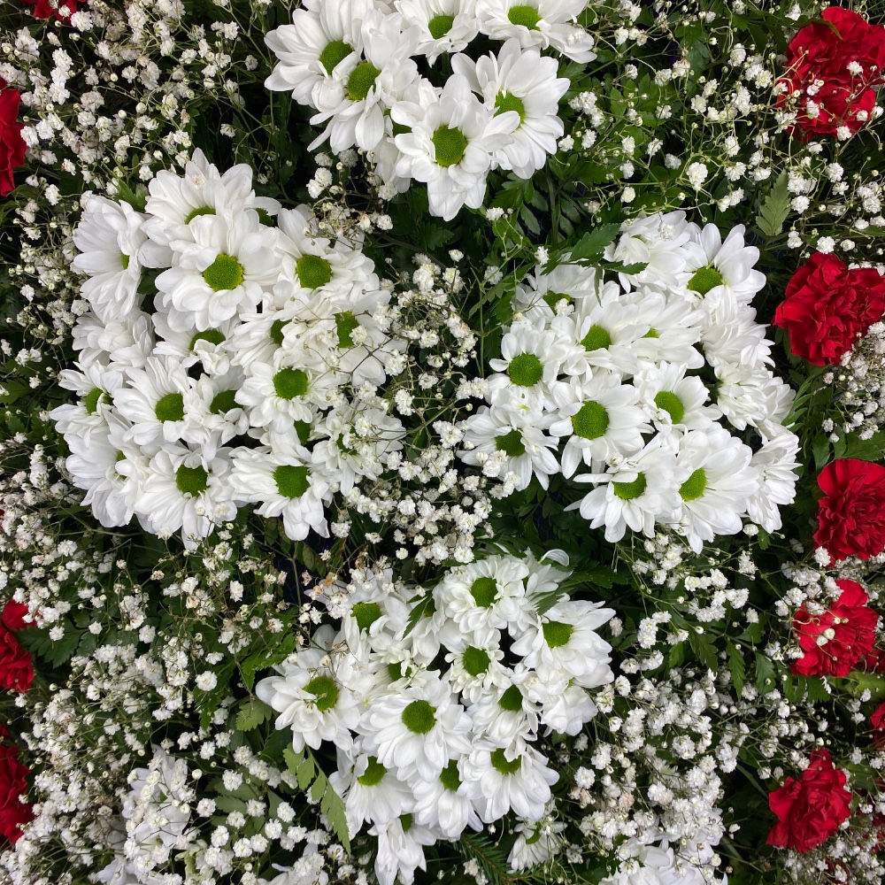 венок на похороны, венок из живых цветов, хризантемы, гвоздики, гипсофила, ритуальные цветы, траурные цветы, похоронные атрибуты, венок артикул ВЖ-016.