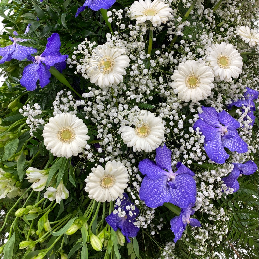 венок на похороны, венок из живых цветов, траурный венок, орхидея, гербера, гипсофила, цветы на похороны, ритуальные цветы, артикул ВЖ-018.