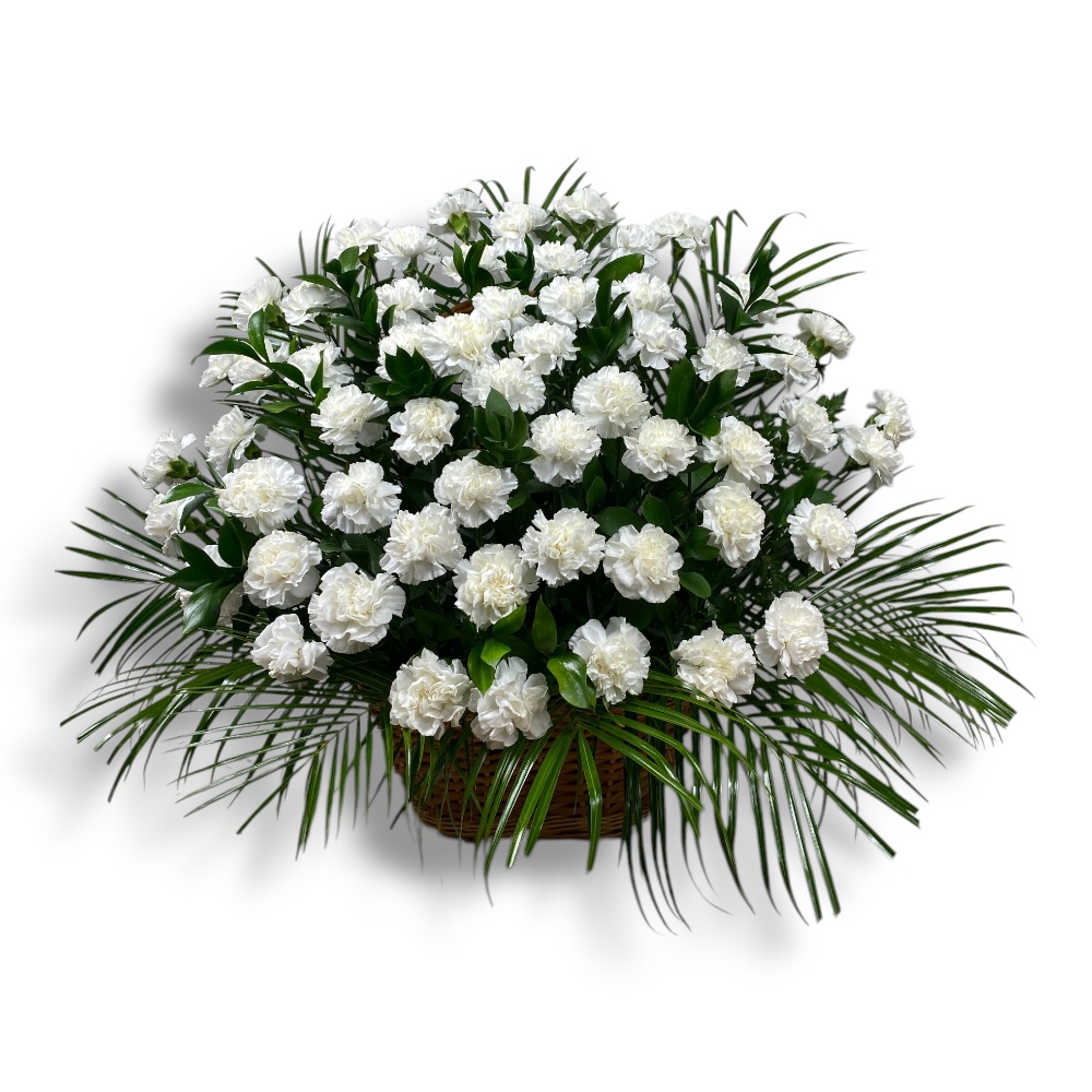 Траурная корзина из красной гвоздики односторонняя на похороны 100 шт.  Белая