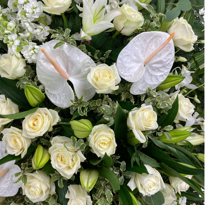 Траурный венок из живых цветов Арт. ВЖ-002 | Антуриум, розы, орхидеи, лилии